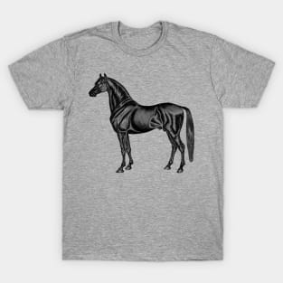 Beautiful Black Race Horse T-Shirt